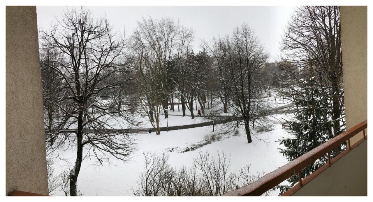 Kwadrat B&B Jalowego Rzeszow Bagian luar foto