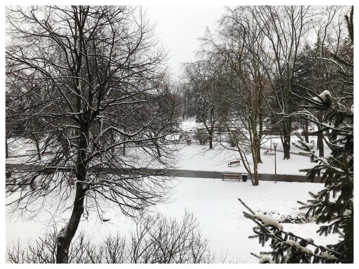 Kwadrat B&B Jalowego Rzeszow Bagian luar foto